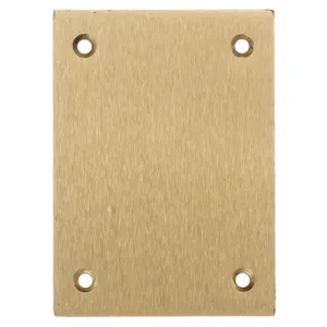 HUBBELL S3813 WIRING DEVICE-KELLEMS Rect Brass Blank Floor Box Cover | CP3NYA 24X752