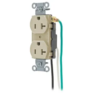 HUBBELL WIRING DEVICE-KELLEMS CR20IP1 Straight Receptacle, Duplex, 20A 125V, Ivory, 1 Pk, 8 Inch Solid Lead | BC7PLH