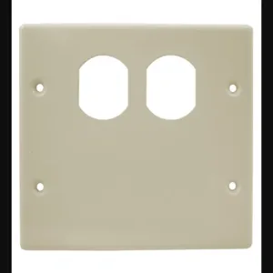 HUBBELL WIRING DEVICE-KELLEMS HBL4747BXIV Raceway Plate Two Gang Ivory | AB3GAZ 1RYT1