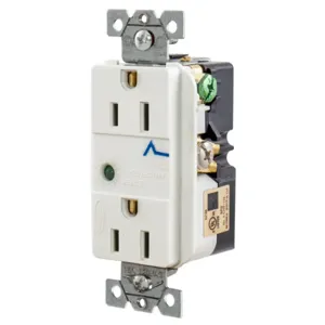 HUBBELL WIRING DEVICE-KELLEMS HBL5260WSA Duplex Receptacle, 15A 125V, White, With Light And Alarm | CE6RDT