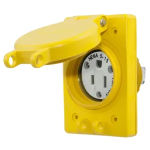 HUBBELL WIRING DEVICE-KELLEMS HBL60W47 Straight Blade Receptacle, 15A, 125V, 2-Pole, 3-Wire Grounding, Yellow | AH8XNL 39AW60