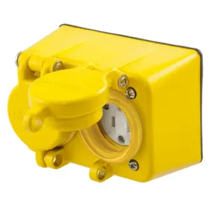 HUBBELL WIRING DEVICE-KELLEMS HBL60W47D Straight Blade Duplex Receptacle, 15A, 125V, 2-Pole, 3-Wire Grounding, Yellow | BD3YVJ