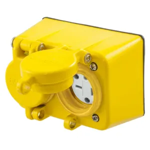 HUBBELL WIRING DEVICE-KELLEMS HBL60W48D Straight Blade Duplex Receptacle, 20A, 250V, 2-Pole, 3-Wire Grounding, Yellow | BD3WWQ