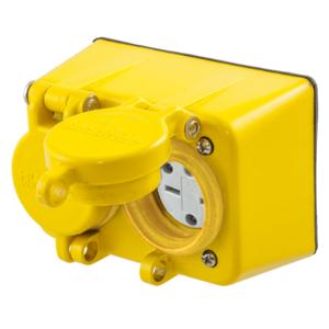 HUBBELL WIRING DEVICE-KELLEMS HBL60W49D Straight Blade Duplex Receptacle, 15A, 250V, 2-Pole, 3-Wire Grounding, Yellow | BD3ZYV