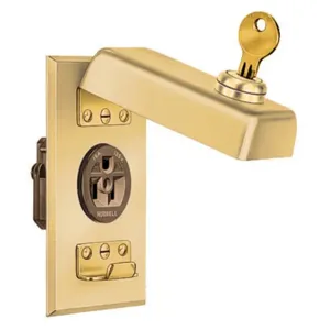 HUBBELL WIRING DEVICE-KELLEMS HBL96067 Locking Cover, 1-Gang, 1.40 Inch Opening, Brushed Brass | AD7APQ 4D095