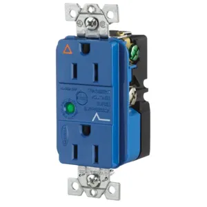 HUBBELL WIRING DEVICE-KELLEMS IG5262SA Duplex Receptacle, With Light And Alarm, 15A, 125V, Blue | AE7YYN 6C134