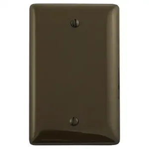 HUBBELL WIRING DEVICE-KELLEMS NP13 Wallplate, Nylon, 1-Gang, Blank, Box Mount, Brown | BD2AHQ