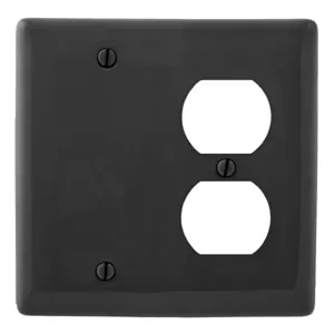 HUBBELL WIRING DEVICE-KELLEMS NP138BK Wallplate, Nylon, 2-Gang, Duplex, Blank, Black | BD2GWU