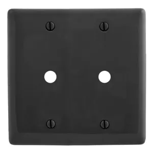 HUBBELL WIRING DEVICE-KELLEMS NP21BK Wallplate, Nylon, 2-Gang, 0.406 Inch Opening, Black | BD4BQF