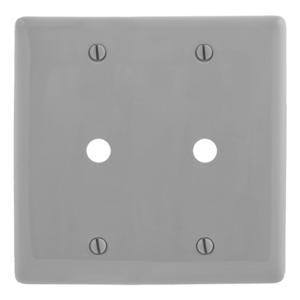 HUBBELL WIRING DEVICE-KELLEMS NP21GY Wallplate, Nylon, 2-Gang, 0.406 Inch Opening, Gray | BD3DTN