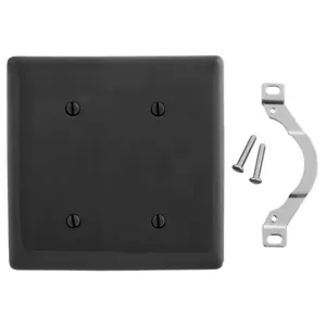 HUBBELL WIRING DEVICE-KELLEMS NP24BK Wallplate, Nylon, 2-Gang, Strap Mounted Blank, Black | BC7ZJH