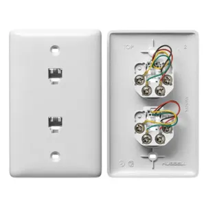 HUBBELL WIRING DEVICE-KELLEMS NS742W Plate, 1-Gang, With Two Jack, 6- Conductor 4-Position, Screw Terminal, White | CE6PUN