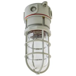 HUBBELL WIRING DEVICE-KELLEMS NVX15GHGA Vapour Tight Marine Fixture 150w Gray | AB3NJT 1UKB8