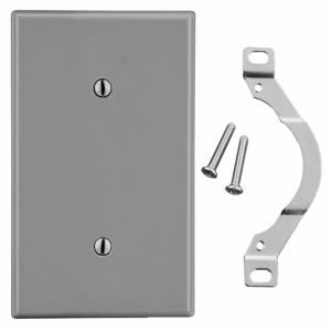 HUBBELL WIRING DEVICE-KELLEMS P14GY Blank Strap Mount Wall Plate, Gray, 1 Gang | CH6QTY 55KR84