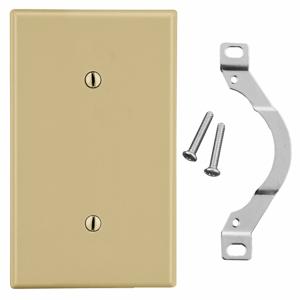 HUBBELL WIRING DEVICE-KELLEMS P14I Blank Strap Mount Wall Plate, Ivory, 1 Gang | CH6QTZ 55KR85