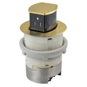 HUBBELL WIRING DEVICE-KELLEMS RCT201BR Kitchen Counter Receptacle, 15A, Flush Mount, Brass | BD4BGQ