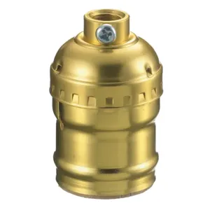 HUBBELL WIRING DEVICE-KELLEMS RL100 Lamp Socket, Keyless, 600 W, Brass | CE6YAR