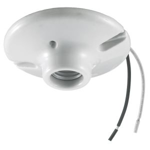 HUBBELL WIRING DEVICE-KELLEMS RL8806 Lamp Holder, Keyless, 600 W, Porcelain | CE6YCV