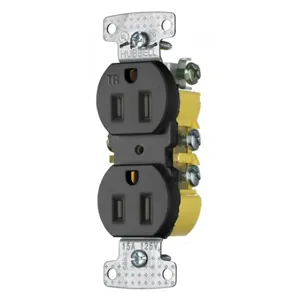 HUBBELL WIRING DEVICE-KELLEMS RR15SBKTR Receptacle, Tamper Resistant, Duplex, 15A, 125V, 2-Pole, Self Grounding, Black | BC9EGT