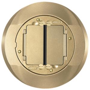 HUBBELL WIRING DEVICE-KELLEMS S1CFCBRS Carpet Flange Cover SystemOne Brass | AB9MMW 2DZL6