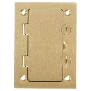 HUBBELL WIRING DEVICE-KELLEMS S3826 Floor Box Cover Rectangular Style Line | AB9HMN 2DDX1