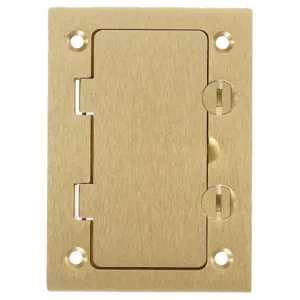 HUBBELL WIRING DEVICE-KELLEMS S3826 Floor Box Cover Rectangular Style Line | AB9HMN 2DDX1