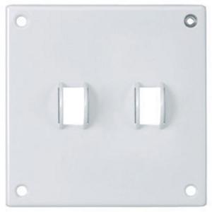 HUBBELL WIRING DEVICE-KELLEMS SWP2 Security Wallplate, 2-Gang, 2 Toggle Openings, Standard Size | AC9VTL 3KT94