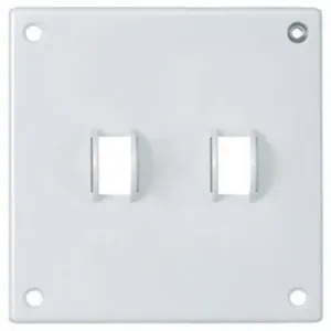 HUBBELL WIRING DEVICE-KELLEMS SWP2 Security Wallplate, 2-Gang, 2 Toggle Openings, Standard Size | AC9VTL 3KT94