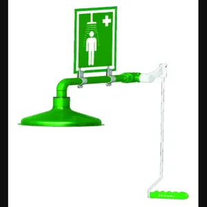 HUGHES SAFETY L23GS Indoor Emergency Safety Shower, Wall Mounted | CE7PWL 30106