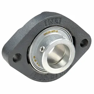 INA GLCTE25-N 2 Bolt Flange Bearing, 25 mm Bore, Cast Iron, Eccentric Collar, 97 mm Length | CR4MXC 21ZF97