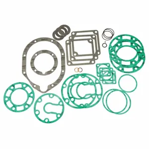 INGERSOLL-RAND 30418834 Compressor Gasket Kit | CF2LWF 55MP61