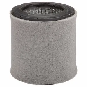 INGERSOLL-RAND 32165466 Compressed Air Filter Element, 4 Micron | AM7EYK 33NV46