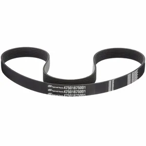 INGERSOLL-RAND 47501875001 Banded V-Belt | CH9QJX 40AY70