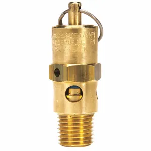 INGERSOLL-RAND 72062185 Safety Valve | CE9KZW 55MP59