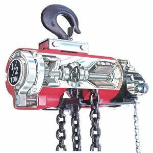 INGERSOLL-RAND 7756E-1C10-C6S Air Chain Hoist 1100 Lb. Capacity 10 Feet Lift | AC2XUM 2NY38