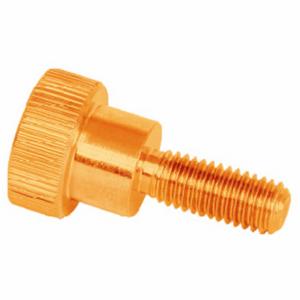 INSIZE ISY-600-800019 Clamping Screw, 6 Pieces, ISY-600-800019 | CR4QNU 796NL4