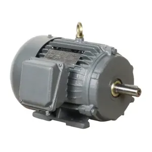 IRON HORSE MTCP2-002-3BD18 AC Induction Motor, General Purpose, 2Hp, 3-Phase, 230/460 VAC, 1800 rpm, TEFC, 145T Frame | CV7BJX