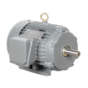 IRON HORSE MTCP2-002-3BD36 AC Induction Motor, General Purpose, 2Hp, 3-Phase, 230/460 VAC, 3600 rpm, TEFC, 145T Frame | CV7BJZ