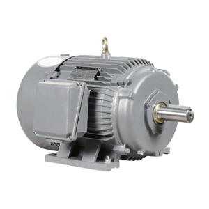 IRON HORSE MTCP2-015-3BD36 AC Induction Motor, General Purpose, 15Hp, 3-Phase, 230/460 VAC, 3600 rpm, TEFC | CV7BKR