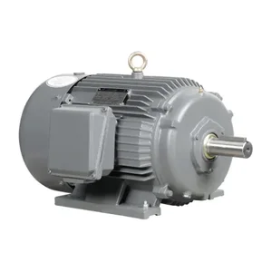 IRON HORSE MTCP2-020-3BD18 AC Induction Motor, General Purpose, 20Hp, 3-Phase, 230/460 VAC, 1800 rpm, TEFC | CV7BKU