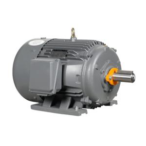 IRON HORSE MTCP2-025-3BD18 AC Induction Motor, General Purpose, 25Hp, 3-Phase, 230/460 VAC, 1800 rpm, TEFC | CV7BKX