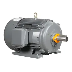 IRON HORSE MTCP2-030-3BD18 AC Induction Motor, General Purpose, 30Hp, 3-Phase, 230/460 VAC, 1800 rpm, TEFC | CV7BKZ