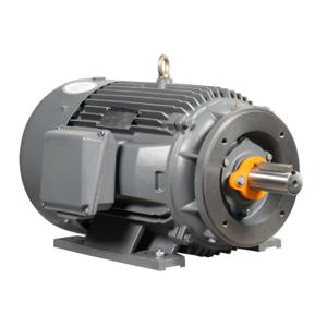 IRON HORSE MTCP2-030-3BD18C AC Induction Motor, General Purpose, 30Hp, 3-Phase, 230/460 VAC, 1800 rpm, TEFC | CV7BLA