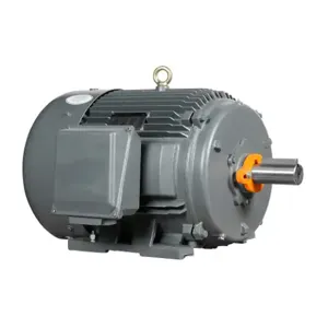 IRON HORSE MTCP2-075-3BD18 AC Induction Motor, General Purpose, 75Hp, 3-Phase, 230/460 VAC, 1800 rpm, TEFC | CV7BLE