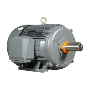 IRON HORSE MTCP2-125-3BD18 AC Induction Motor, General Purpose, 125Hp, 3-Phase, 230/460 VAC, 1800 rpm, TEFC | CV7BLG