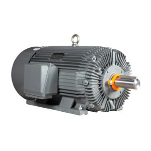 IRON HORSE MTCP2-250-3D18 AC Induction Motor, General Purpose, 250Hp, 3-Phase, 460 VAC, 1800 rpm, TEFC, 449T Frame | CV7BLP