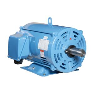 IRON HORSE MTDP-040-3BD18 AC Induction Motor, Inverter Rated, 40Hp, 3-Phase, 208-230/460 VAC, 1800 rpm | CV7BMH