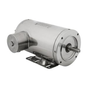 IRON HORSE MTSN-002-3BD36 AC Induction Motor, Washdown, 2Hp, 3-Phase, 208-230/460 VAC, 3600 rpm, 56C Frame | CV7BPT