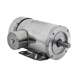 IRON HORSE MTSP-002-3BD36-14 AC Induction Motor, Washdown, 2Hp, 3-Phase, 208-230/460 VAC, 3600 rpm, TEFC, 145Tc Frame | CV7BRA