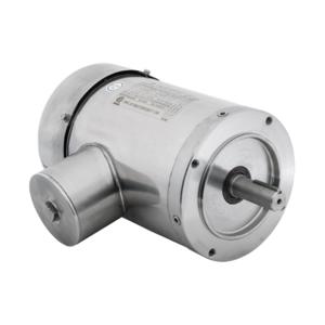 IRON HORSE MTSP-1P5-3BD36R-14 AC Induction Motor, Washdown, 1-1/2Hp, 3-Phase, 208-230/460 VAC, 3600 rpm, TEFC | CV7BRX